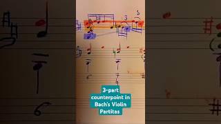 Counterpoint in Bach’s solo violin analysis bach musictheory counterpoint jsb partita shorts [upl. by Uriel202]