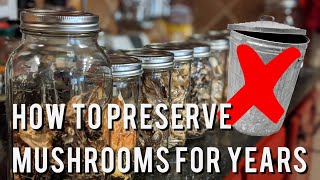 How To Preserve Mushrooms For Years [upl. by Card]