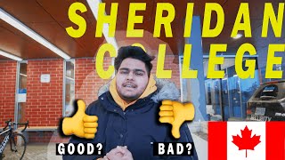 The Truth about SHERIDAN COLLEGE Part2  Luvraj Tyagi  Canada [upl. by Ettennek]