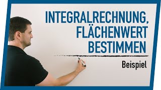 Integralrechnung Flächenwert bestimmen Beispiel  Mathe by Daniel Jung [upl. by Malamut910]