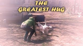 Goose Hugs Woman  The Greatest Hug of All Time [upl. by Calbert34]