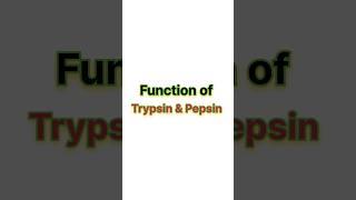 Function of trypsin amp pepsin ✨ neet neet2025 biology aiims [upl. by Helen787]