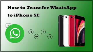 2 Ways to Transfer WhatsApp Messages to iPhone SE [upl. by Farr]