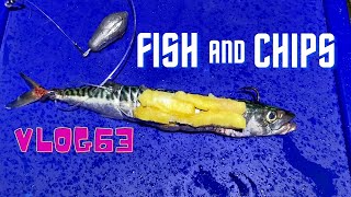 Conger Eel Fishing  River Tamar Winter Warm Up  Sea Fishing Uk  Bassmans Vlog63 [upl. by Adlesirg]