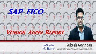 SAP FICO  Vendor Aging Report [upl. by Eelatsyrc353]