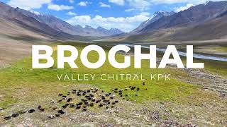 Flying in Broghil Valley Chitral KPK  4K [upl. by Pryce]