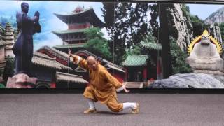 Shi Deyang Performs Shaolin Yi Jin Jing at Emerald Dragon Martial Arts Section 1 [upl. by Sherm]