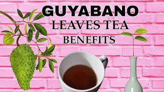 HEALTH BENEFIT OF GUYABANO LEAVES TEA [upl. by Merce]