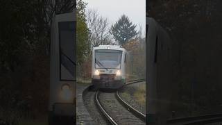 RB2 nach Zwickau Zentrum mit Lichtgruß train trainspottingmusic music trainspoting railway zug [upl. by Subocaj123]