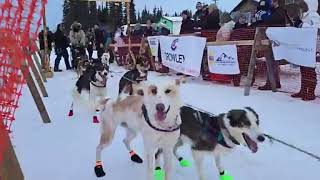 Live  Canadian Benjamin Simard Day 1 Start  2025 Copper Basin 300 Sled Dog Race Coverage Alaska [upl. by Sulrac994]