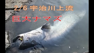 ヤバイ物が釣れたので警察に通報しました。 [upl. by Fisuoy]