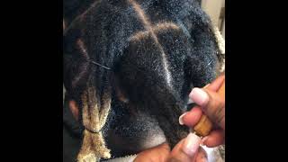 KodakKnots How to combine traditional Locs into Wicks [upl. by Hembree]