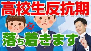 【反抗期の対処法】息子と娘に親ができること【中学生でも高校生でも効果抜群】 [upl. by Sabra518]