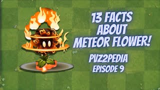 facts about meteor flower pvz2 [upl. by Holzman]