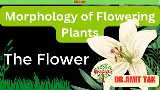 Morphology of Flowering Plants  The Flower  Parts of Flower  Aestivation  TepalPerianthamitsir [upl. by Aitnis]