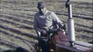 International Harvester Plow Mulcher Sales Movie [upl. by Alah]