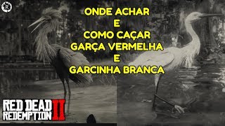 RED DEAD REDEMPTION 2  COMO CAÇAR GARÇA VERMELHA E GARCINHA BRANCA  Dicas [upl. by Tuorah]