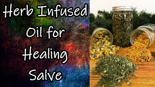 Herb Infused Oil for Healing Salve [upl. by Anytsirhc]