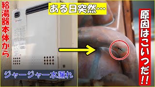 給湯器本体から漏水分解して漏水箇所を特定してみた【プロ】 [upl. by Thunell]