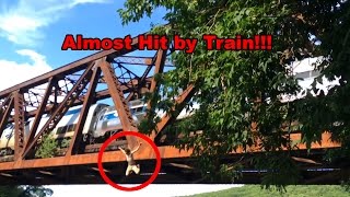 Idiot almost hit by Train Amtrak 56 Brattleboro VT 63016 [upl. by Leraj248]