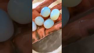 OPALINE OPALITE Eggs 🪺  Syn Gemstone  opaline synthetic glass shorts [upl. by Llehsam424]