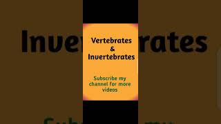 vertebrates and invertebrates [upl. by Franci]