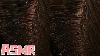 ASMR cleans your inflamed scalp massages and relaxes super long decompression asmr relaxing [upl. by Kere]