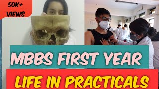 Mbbs first year life inside practical labsMBBS [upl. by Habas]