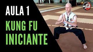 Kung Fu para Iniciantes  Aula 1  Treino de Kung Fu em Casa [upl. by Winchell]