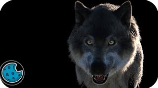 Realistic Wolf Fur Test [upl. by Charlean51]