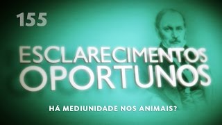 Esclarecimentos Oportunos 155  Há mediunidade nos animais [upl. by Hubsher]