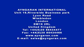 Ayngaran International Original Version Logo HQ 1080p [upl. by Swarts]