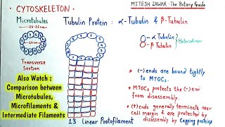 Cytoskeleton  Microtubules Microfilaments and Intermediate Filaments  Structure and Functions [upl. by Lowenstein980]