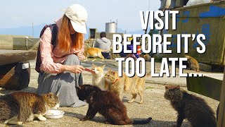 The Sad Reality of Japans Famous Cat Island  Aoshima [upl. by Yttak]