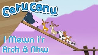 Caru Canu  I Mewn ir Arch Welsh Childrens Song [upl. by Sakiv474]