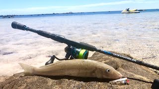 TOPWATER WHITING  Flats fishing for Australia’s shallow water predator [upl. by Seilenna]