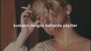 Sezen Aksu  Firuze lyrics [upl. by Ahsinrat]