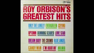 Roy Orbison  Greatest Hits Vol 1  Full Album [upl. by Adne]