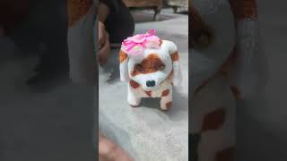 Dog Toy  360 Degree Flip Dog Toy  Unboxing amp Review  PRESENT PETS  Puppies Walking [upl. by Ayekal]