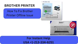 Brother Printer Offline  Fixing Brother Printer Offline Issue [upl. by Ateuqal]