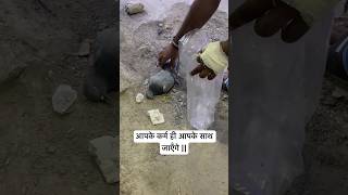 आपके कर्म ही आपके साथ जाएँगे 🤗 animals humanity help pigeon humanityfirst explore shorts [upl. by Adnorat]