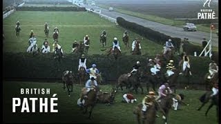 The Grand National 1965 [upl. by Sausa]