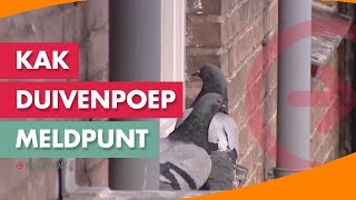 HELP ik heb last van duivenpoep 10  MELDPUNT [upl. by Niltiak]