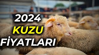 TÜRKİYEnin EN UCUZ HAYVAN PAZARI  1200 TL den BAŞLAYAN FİYATLARLA [upl. by Winni]