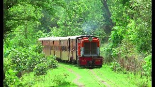 Gorgeous Narrow Gauge train disappears in dense forest  Bilimora  Waghai NG Railway [upl. by Naelcm375]