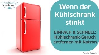 Kühlschrank stinkt – Was tun [upl. by Euqitsym]