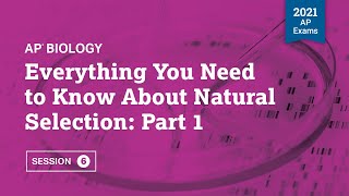 2021 Live Review 6  AP Biology  Everything You Need to Know About Natural Selection Part 1 [upl. by Anirtep]