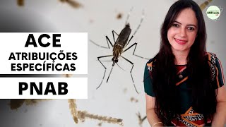 PNAB  Atribuições Específicas do ACE Agente de Combate a Endemias  Profª Juliana Mello [upl. by Strauss228]