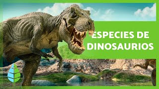 TIPOS de DINOSAURIOS 🦕 ¿Cuántas especies existieron [upl. by Ahsiret]