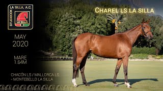 CHAREL LS LA SILLA [upl. by Salocin771]